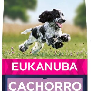 Eukanuba-cachorro-mediano