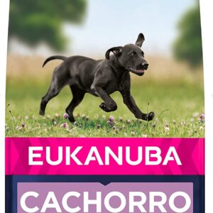 Eukanuba Alimento seco para cachorros de raza grande