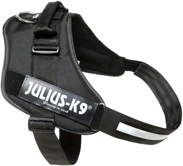 JULIUS-K9 16IDC Power Harness. El mejor y más valorado collar de entrenamiento profesional para tu perro.Todas las tallas y colores.