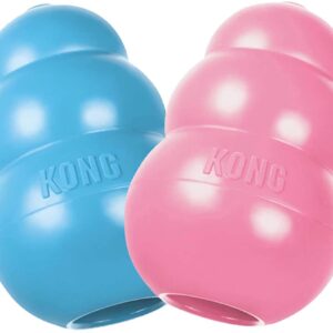 Kong para cachorros