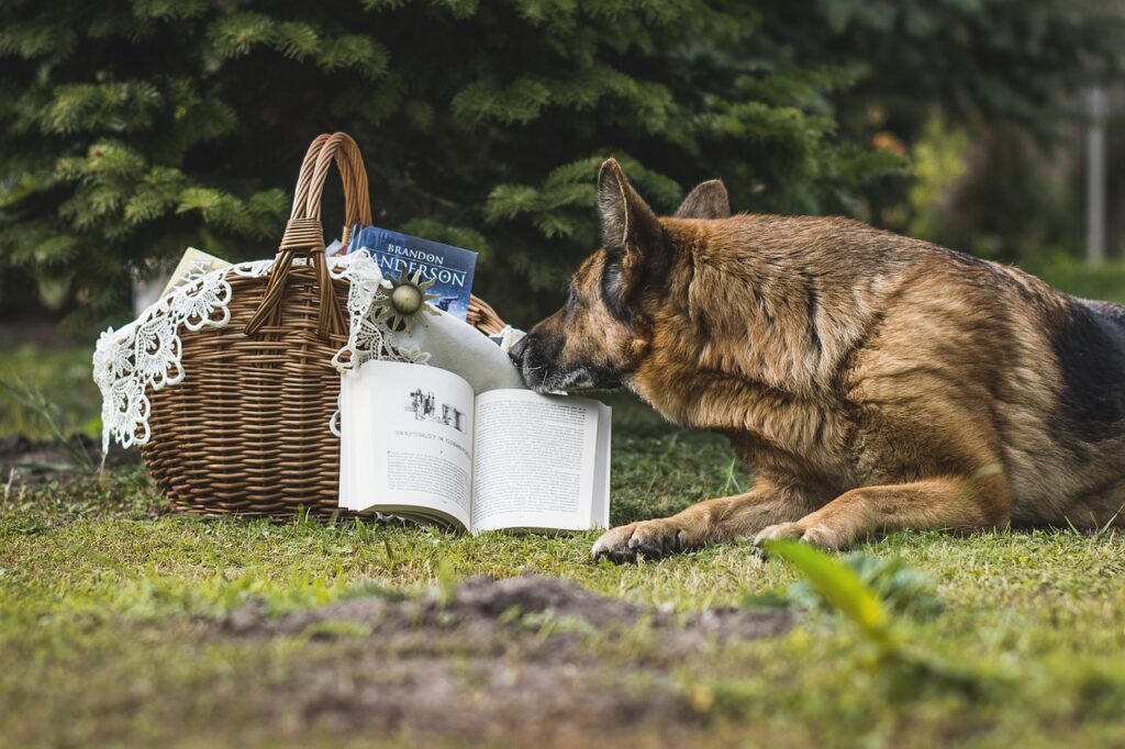 Libros de educación canina | Mi tienda Canina | Publicidad Canina