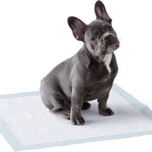 toallita empapadora para perros