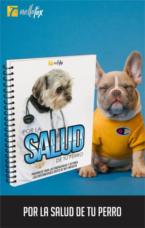 perros saludables