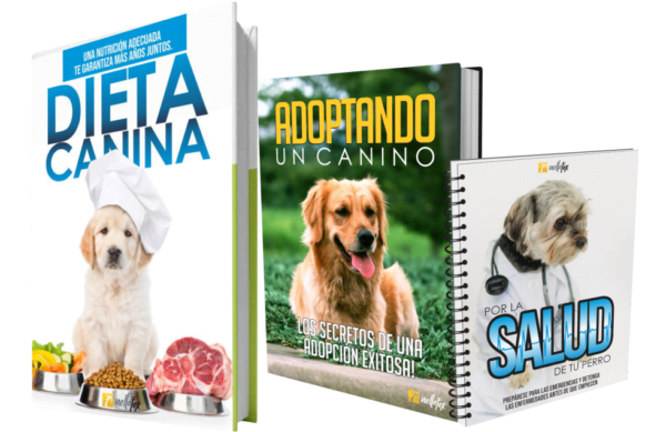 Oferta de dieta canina