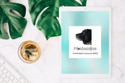 Asesoría Gratis | Publicidad Canina