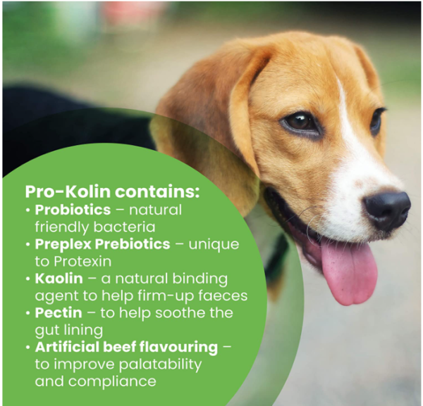 Protexin Pro-Kolin Probiotic and Prebiotics for dogs